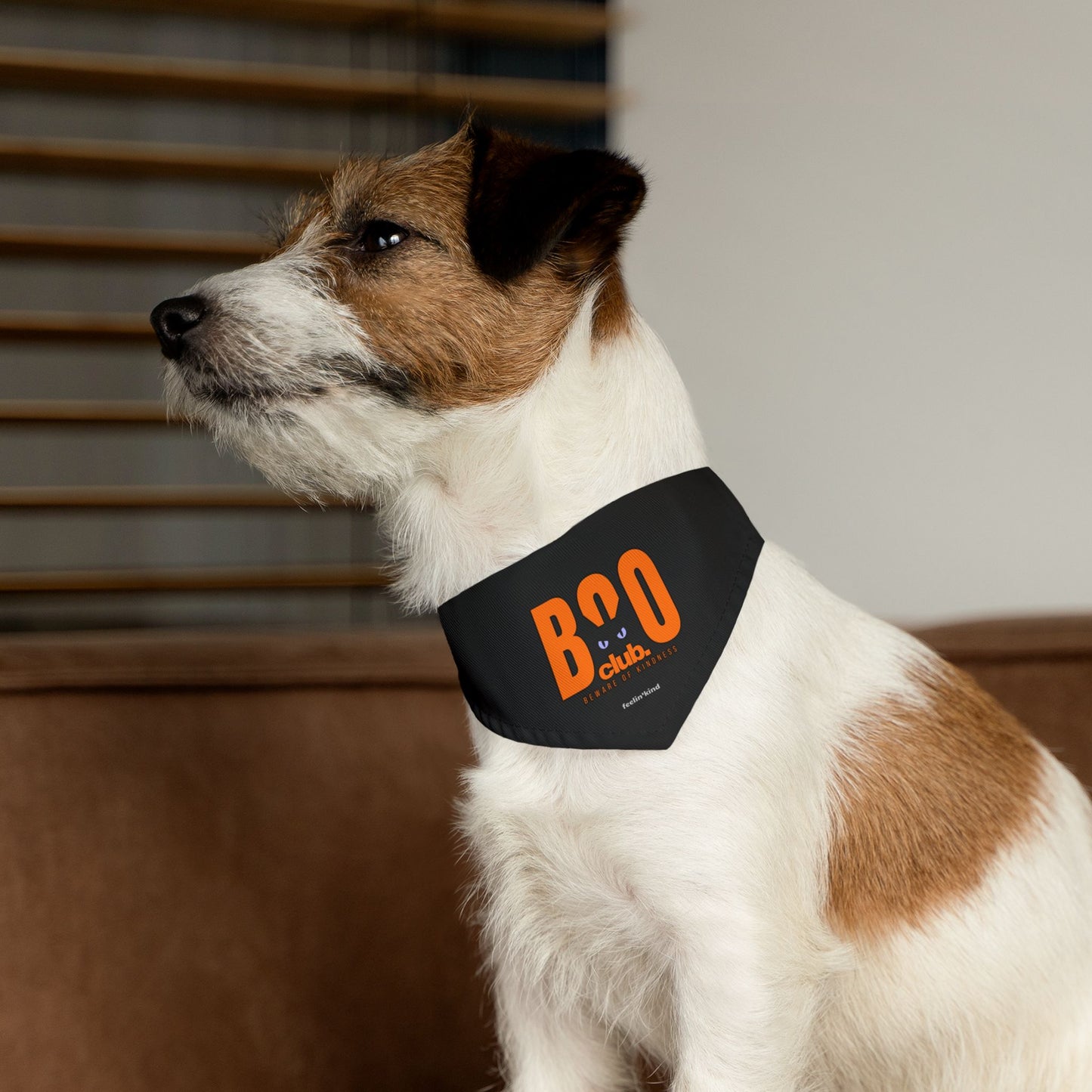 Boo Club - Boo Pet Collection