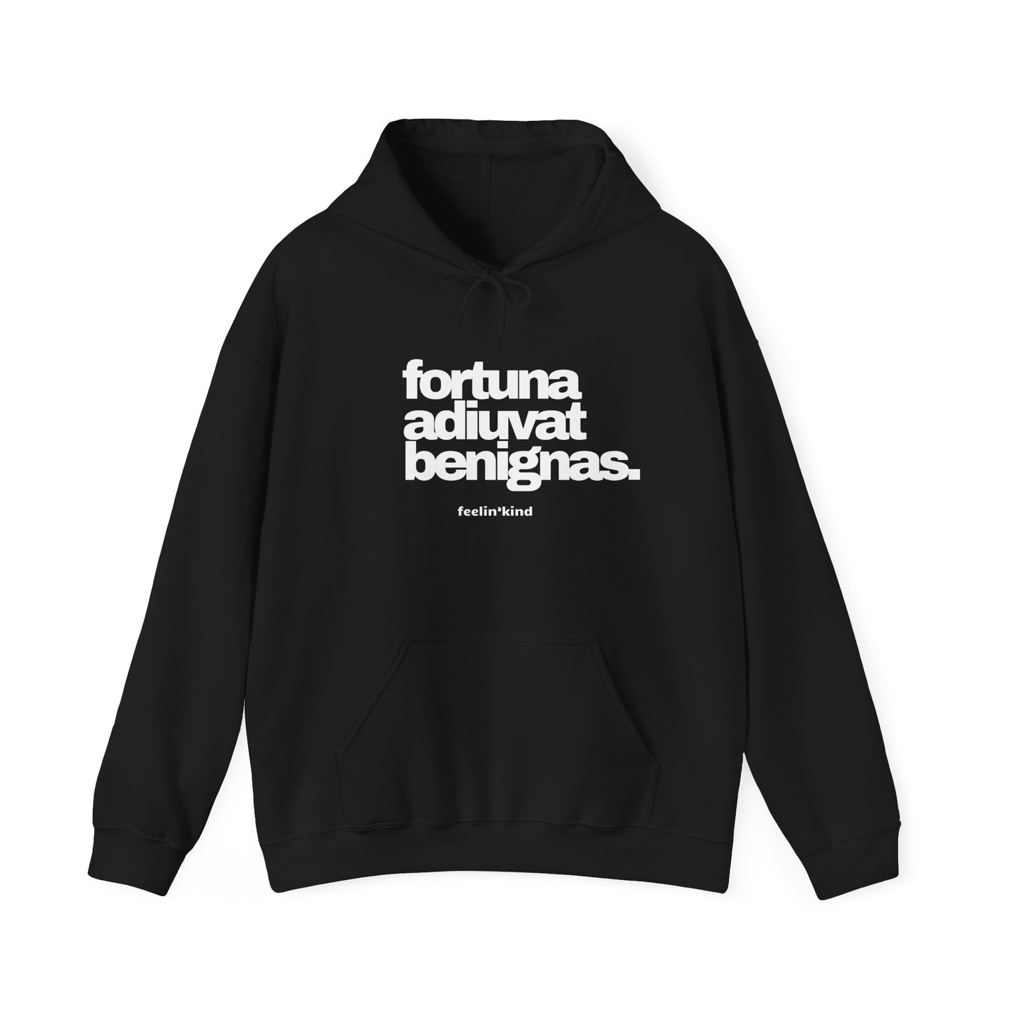 Fortune Favors the Kind hoodie