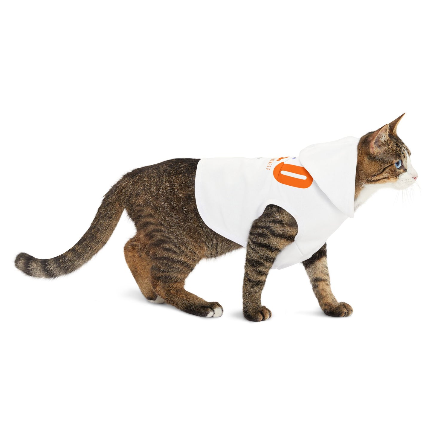 Boo Club Pet Hoodie - Boo Pet Collection