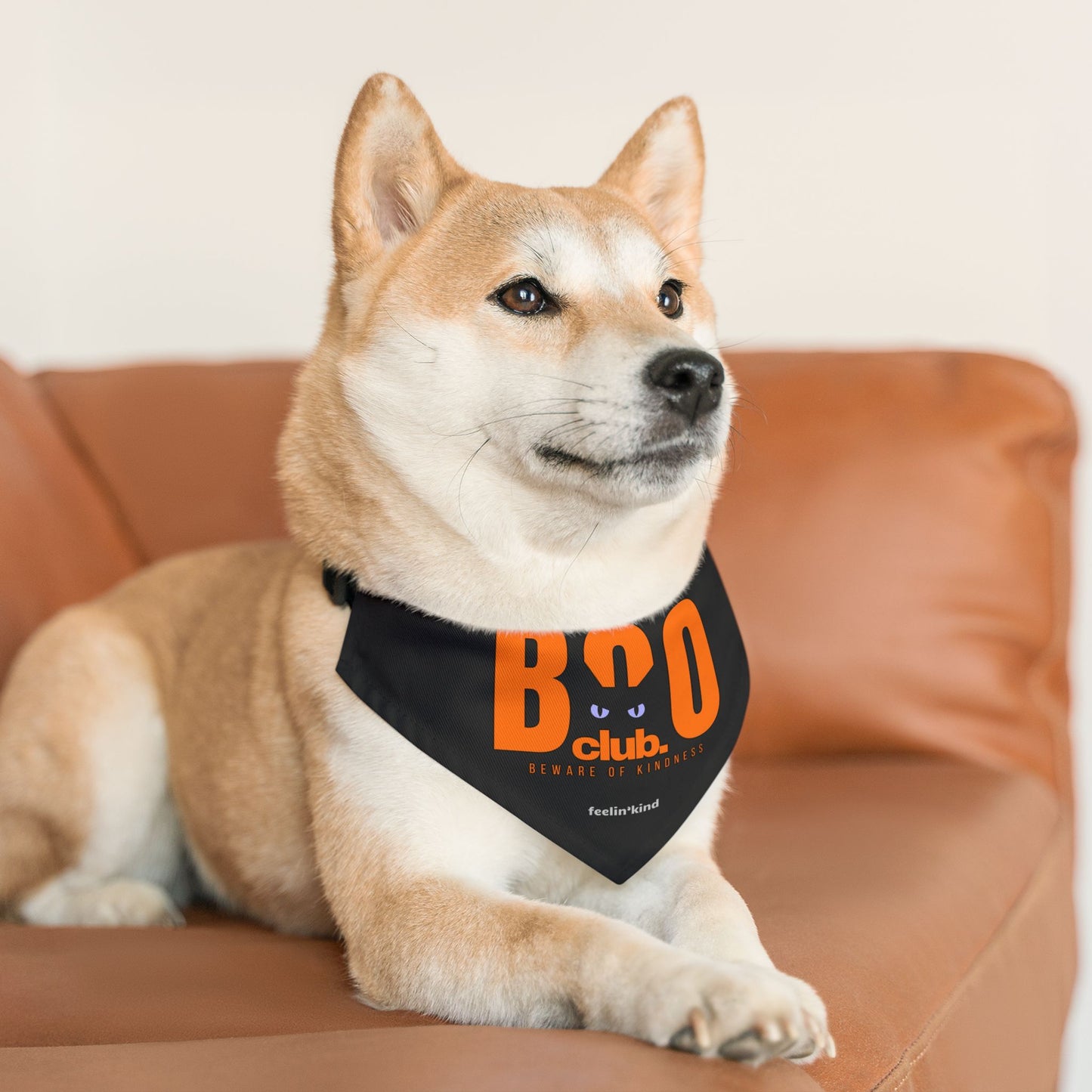 Boo Club - Boo Pet Collection