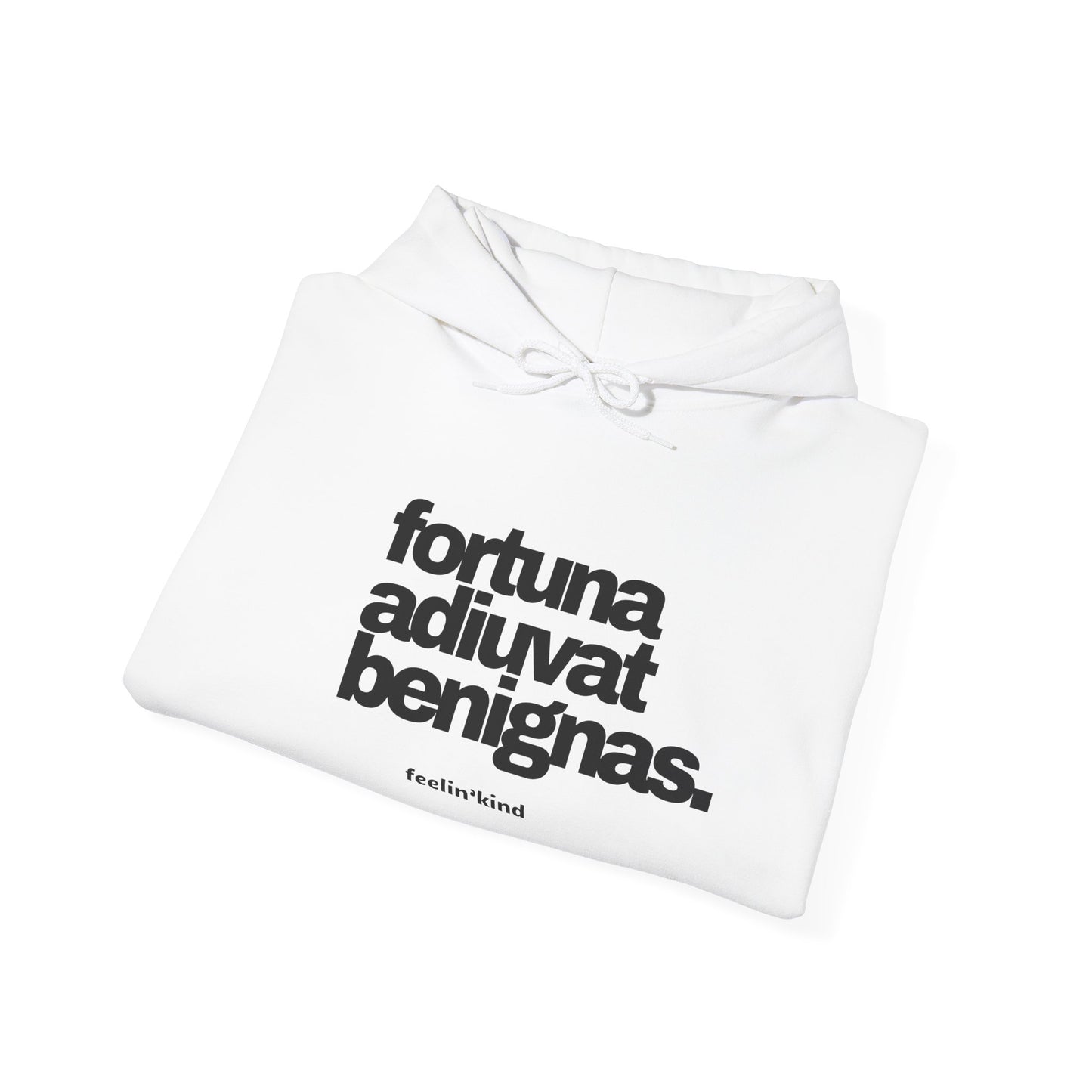 Fortune Favors the Kind hoodie