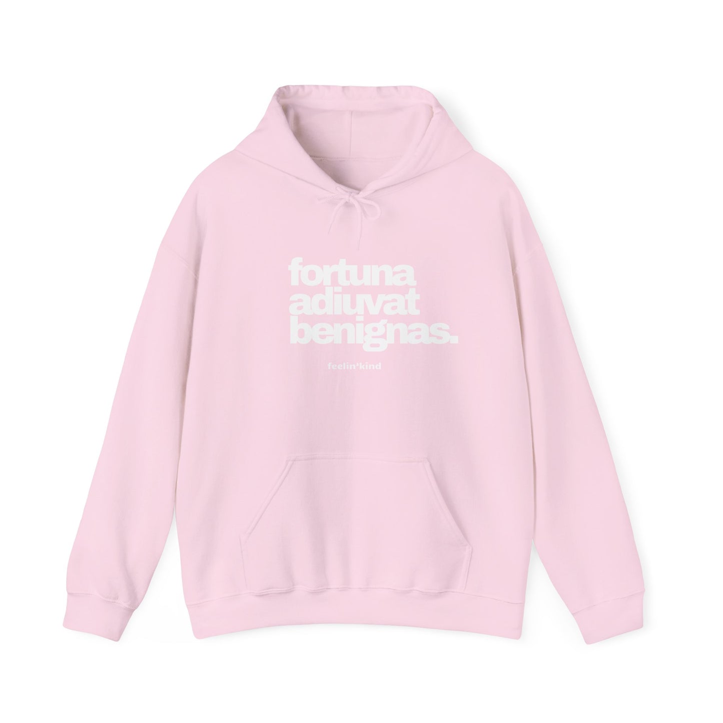 Fortune Favors the Kind hoodie