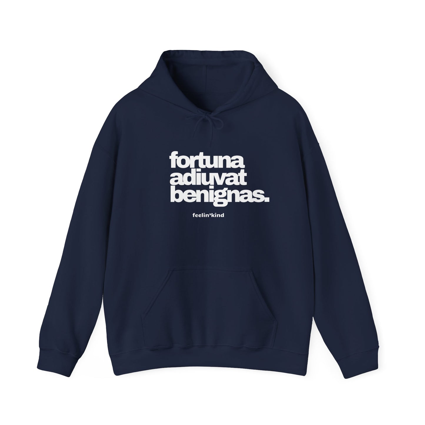 Fortune Favors the Kind hoodie