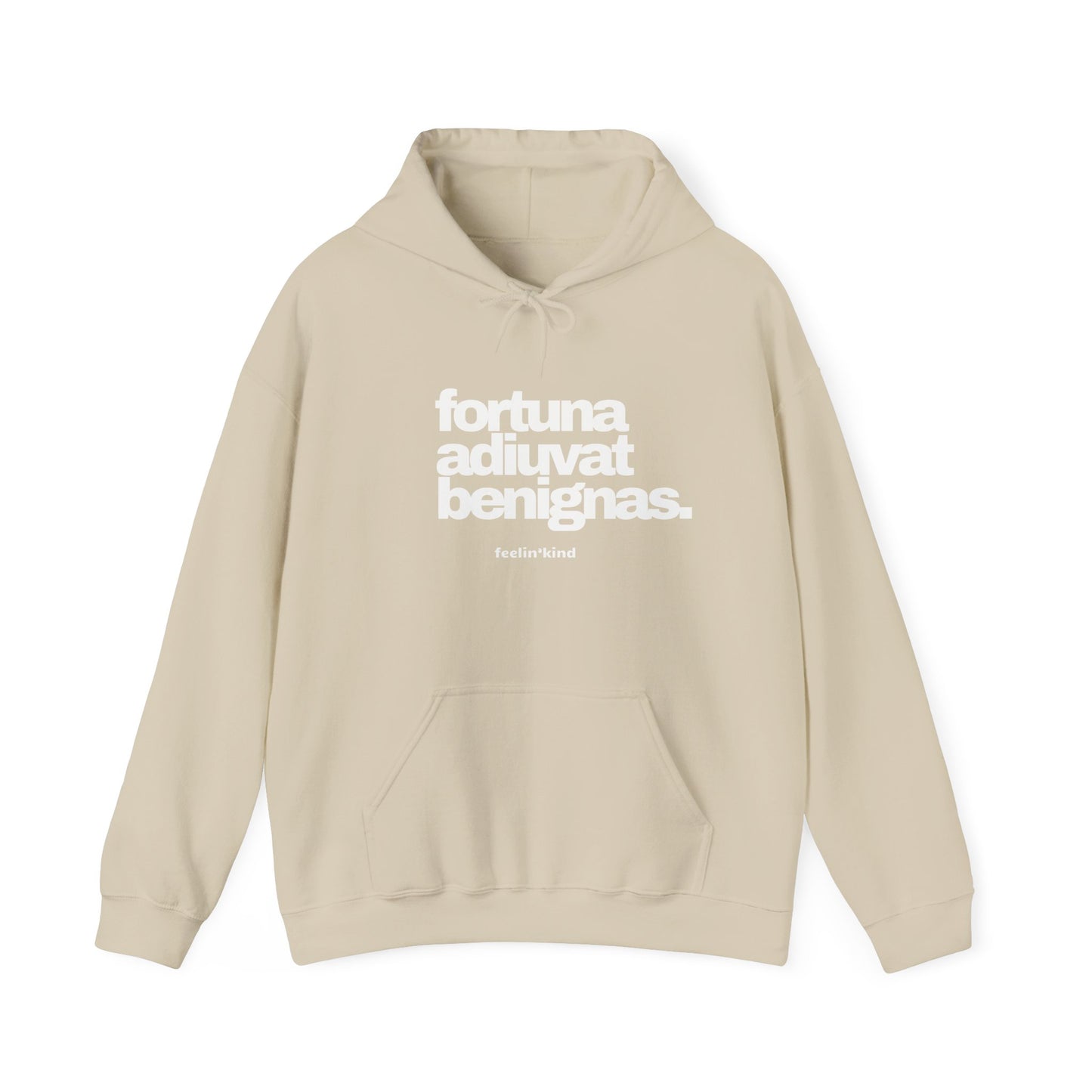 Fortune Favors the Kind hoodie