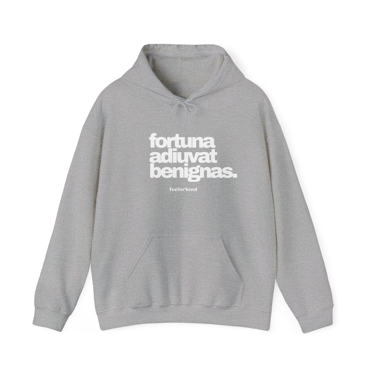 Fortune Favors the Kind hoodie