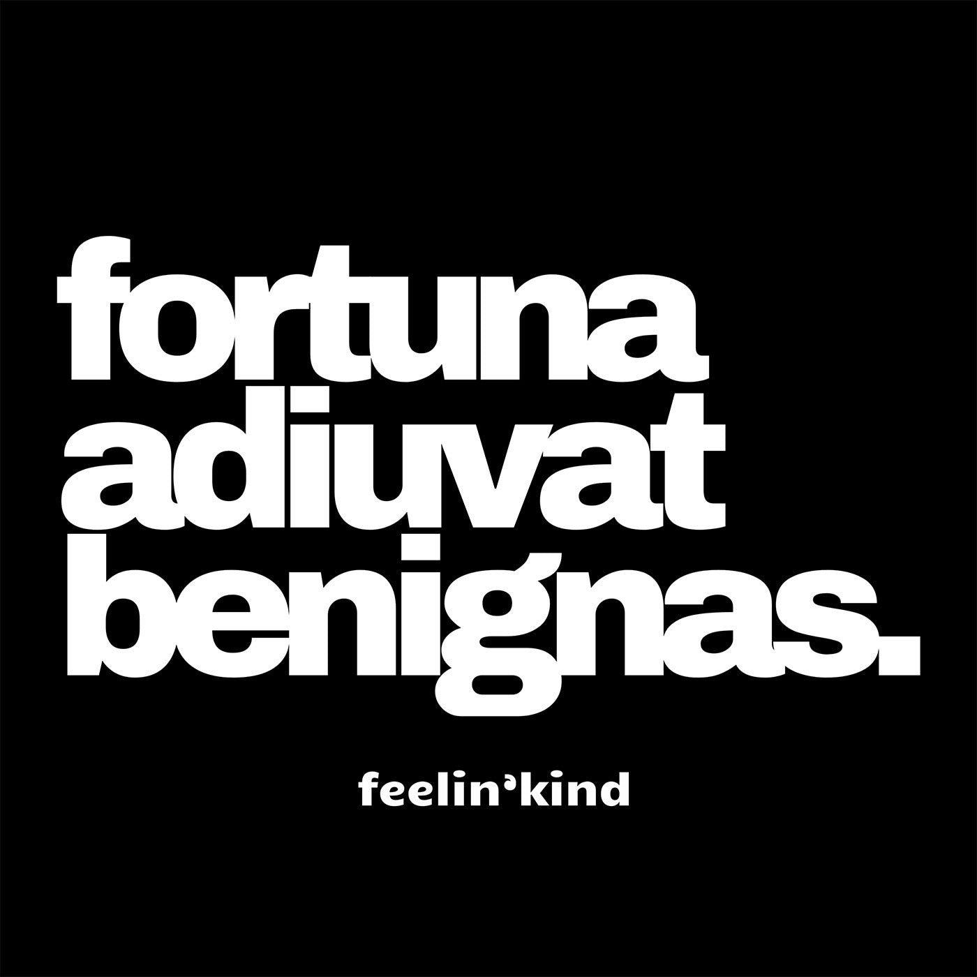 Fortune Favors the Kind hoodie